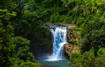 WINTERS in BALI